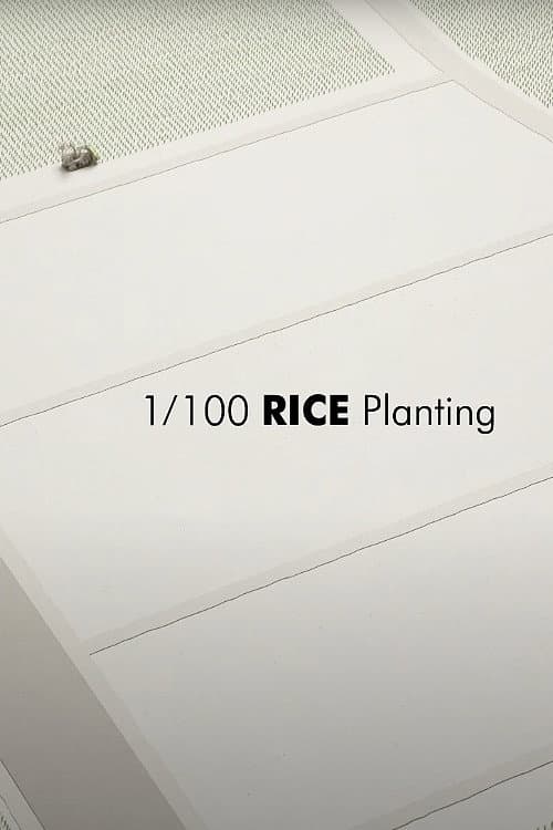 1/100 RICE Planting