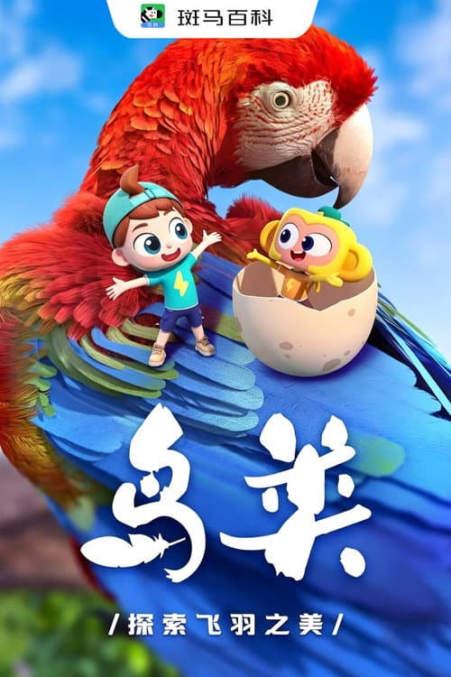 3自然万象—鸟类