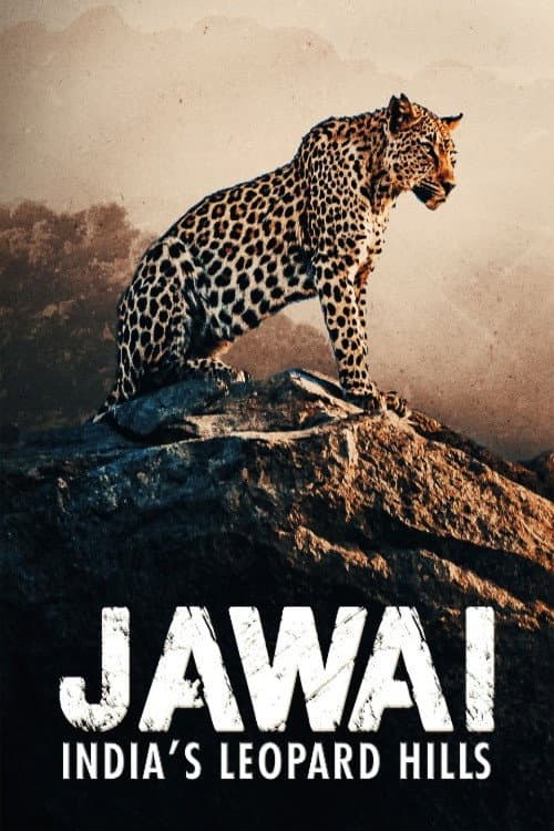 Jawai: India's Leopard Hills