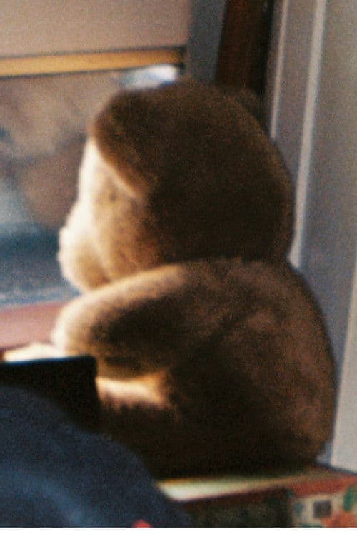 The Room Left Behind