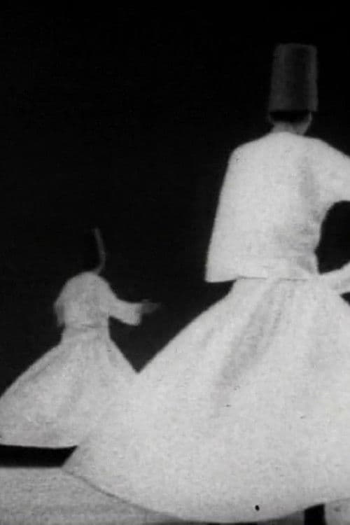 Mevlevi - Les Derviches tourneurs