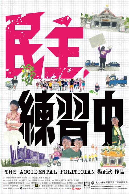 The Accidental Politician