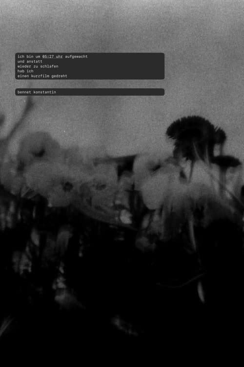 ich bin um 05:27 uhr aufgewacht und anstatt wieder zu schlafen hab ich einen kurzfilm gedreht