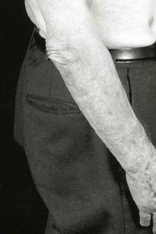 Un perfetto gentiluomo