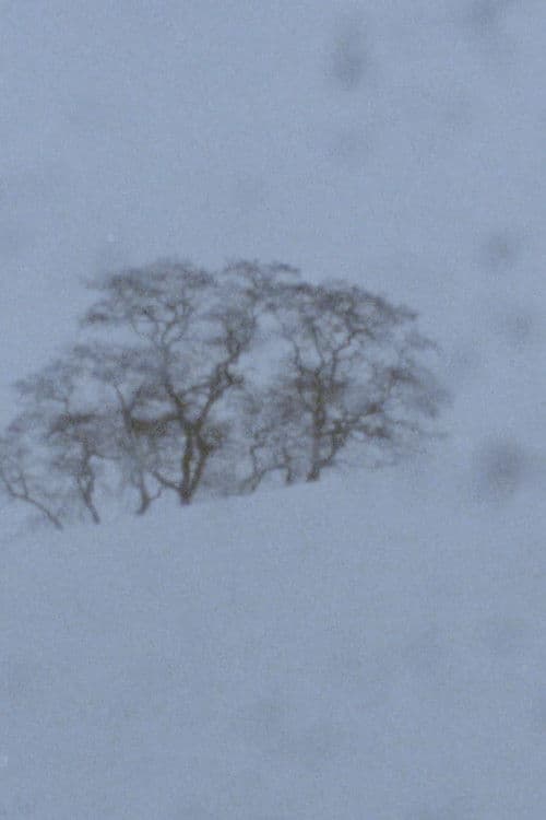 Landscape as Landscape - 25