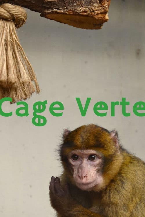 Cage Verte