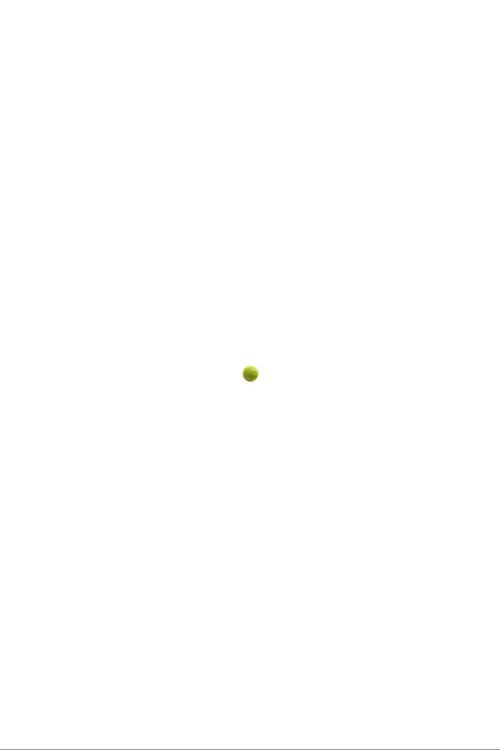 The Tennis Ball