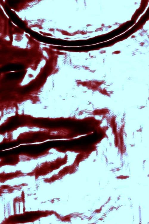 A Suicide Letter(or: A Letter to Flávia)