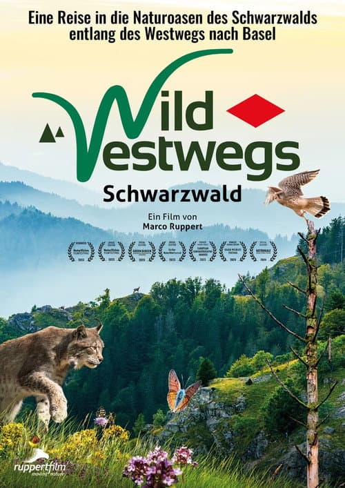 WildWestwegs - Schwarzwald
