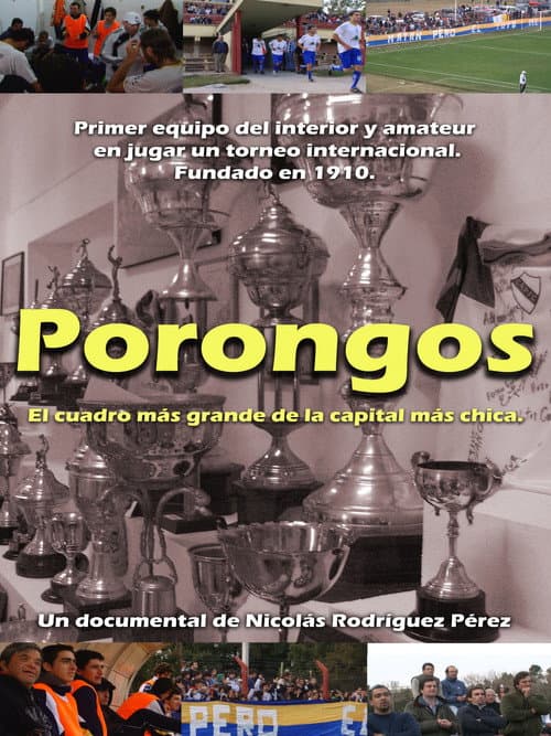 Porongos: el cuadro más grande de la capital más chica