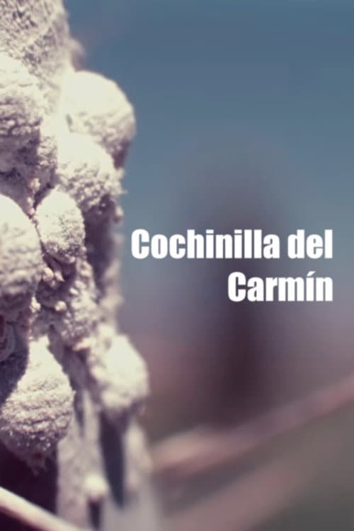 Carmine Cochineal