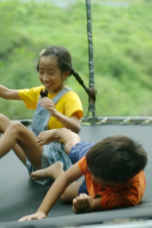 BangBang and Planaria