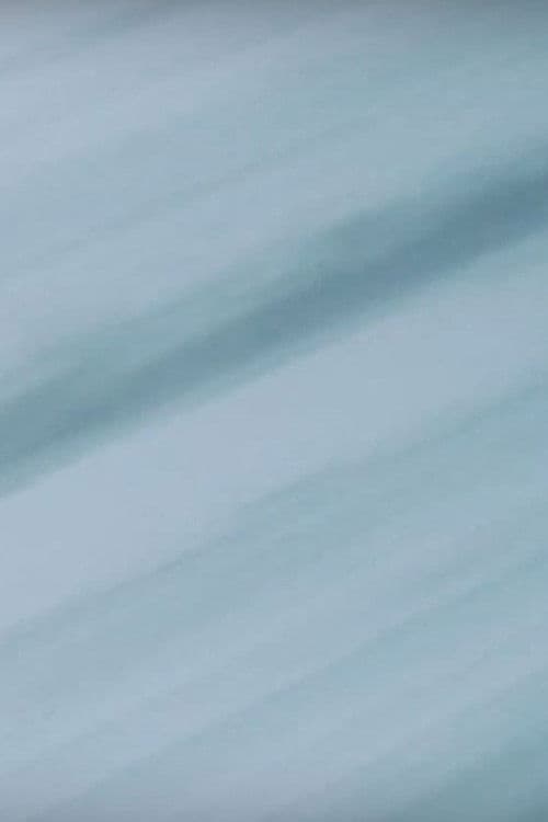 Letter to a Loved One