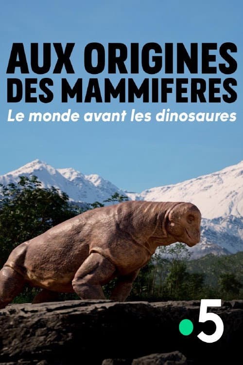 The Origins of Mammals