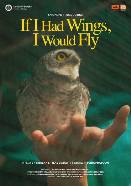 If I Had Wings, I Would Fly