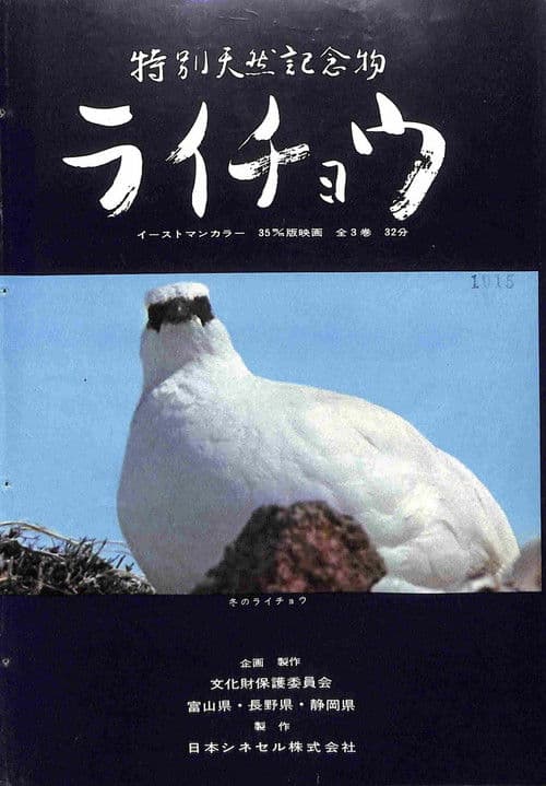 Tokubetsu tennen kinenbutsu Raicho