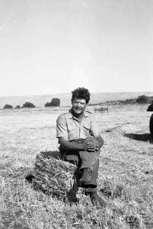 From Here to the Apple Tree