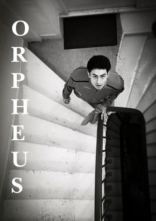 Orpheus