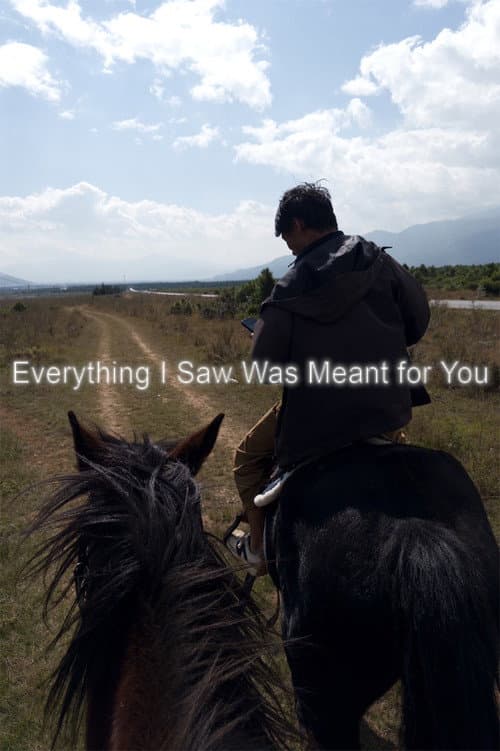 Everything I Saw Was Meant for You