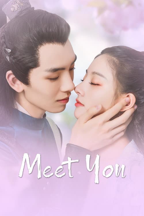Meet You