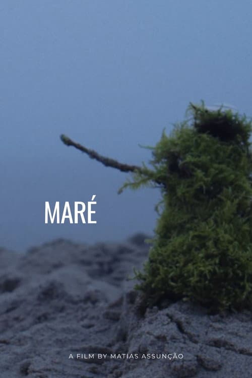 Maré