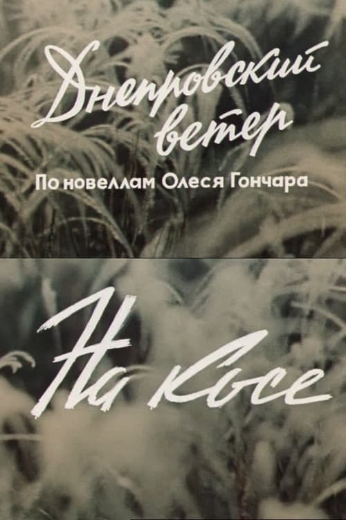 The Dnipro Wind. On the Spit