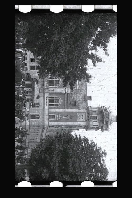 Wels in historischen Ansichten