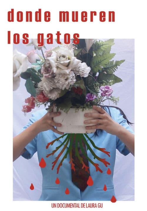 Donde mueren los gatos