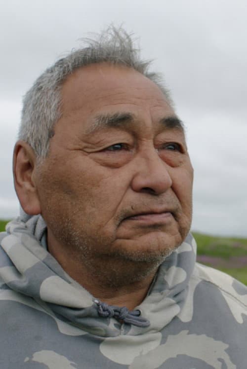 Pandemic - At the End of the World