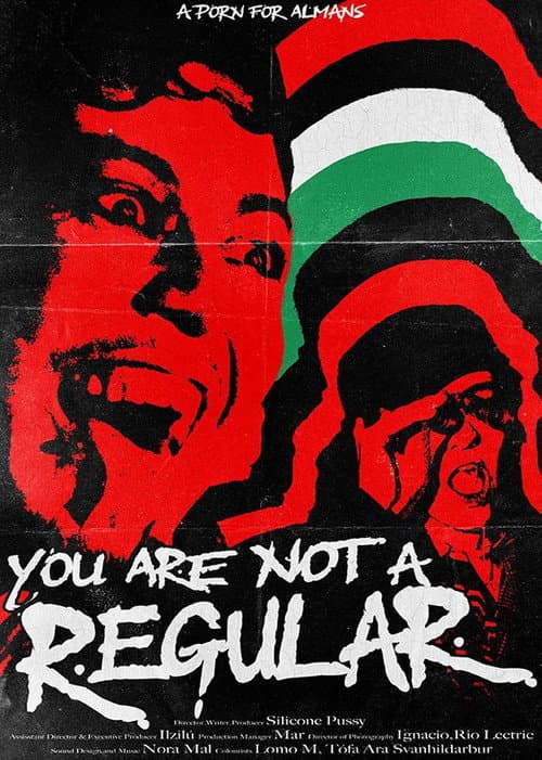 You're Not a Regular: A Porn Made for Almans