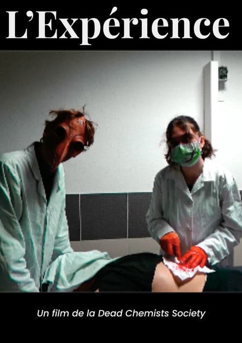 L'expérience