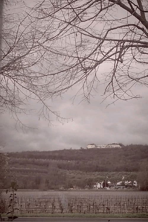 The Road, Chapter 1: Winter