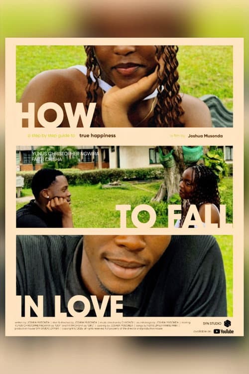 HOW TO FALL IN LOVE