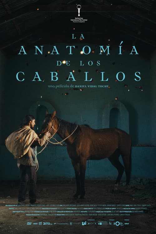The Anatomy of the Horses