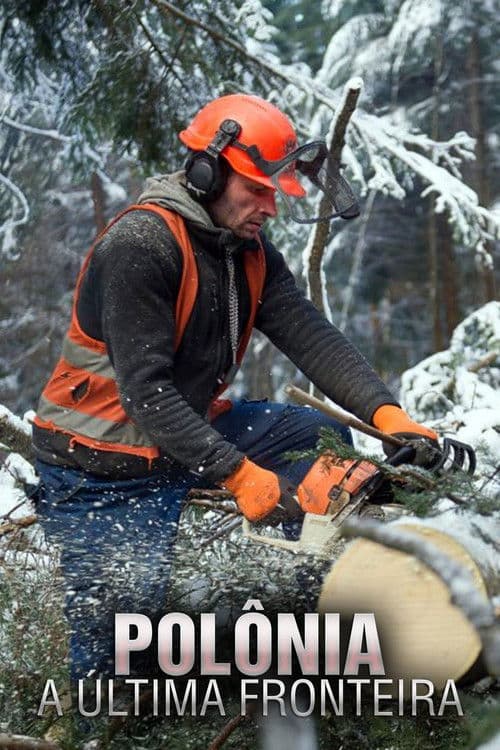 Przystanek Bieszczady