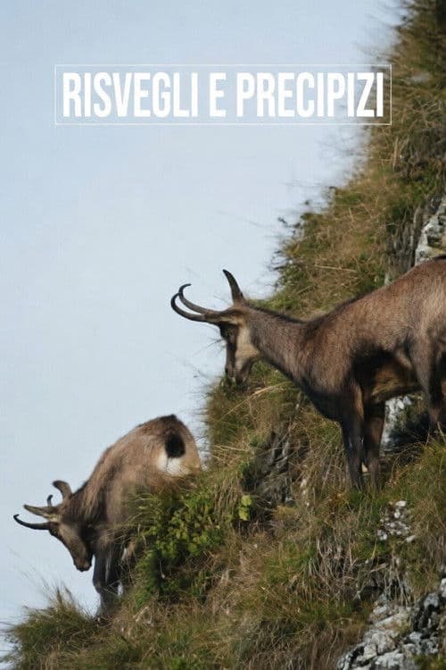 Risvegli e precipizi