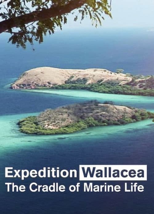 Expedition Wallacea – The Cradle of Marine Life