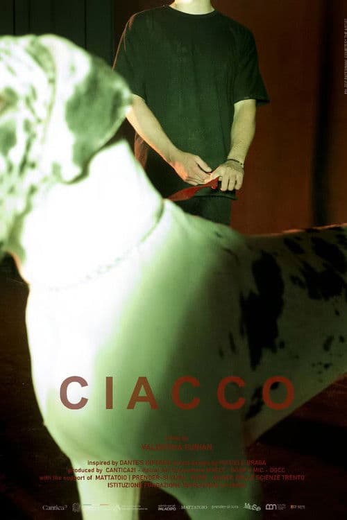 Ciacco