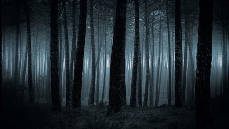 Alone: An Inside Look