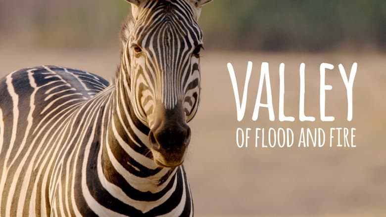 Valley of Flood and Fire