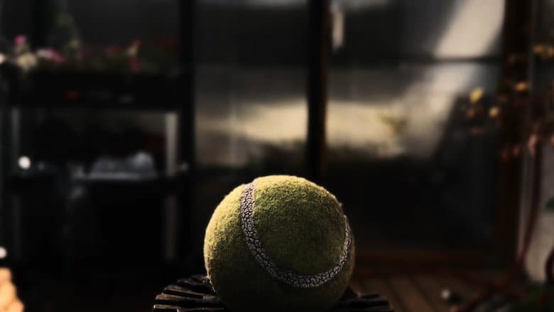 The Tennis Ball