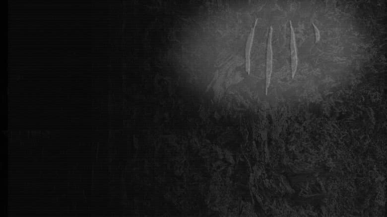 FISSURE
