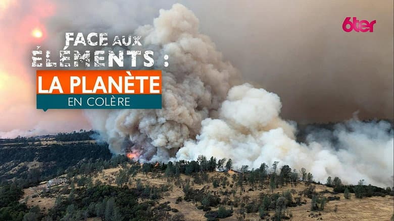 Face aux éléments