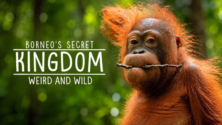Borneo's Secret Kingdom
