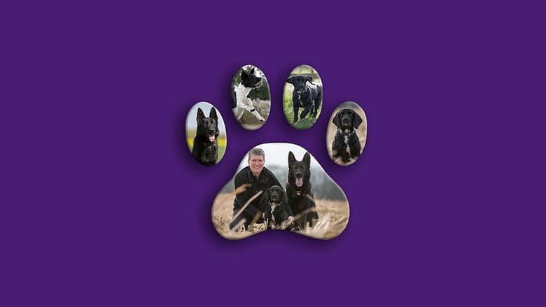 Dog Detectives