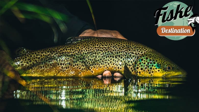 Fiskedestination
