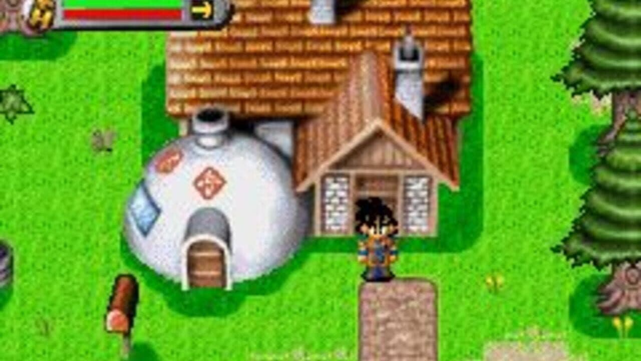 Dragon Ball Z: The Legacy of Goku