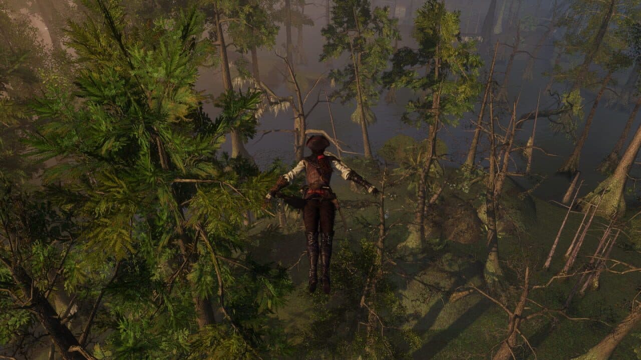 Assassin's Creed III: Liberation
