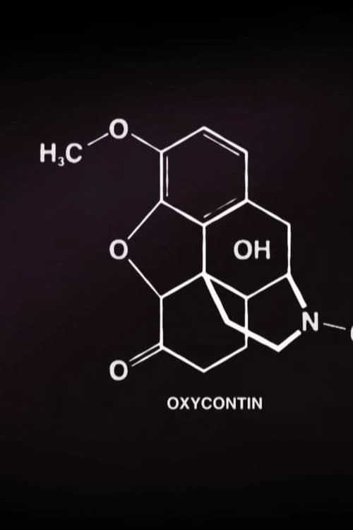 The Opioid Crisis in the U.S. – Business and Addiction