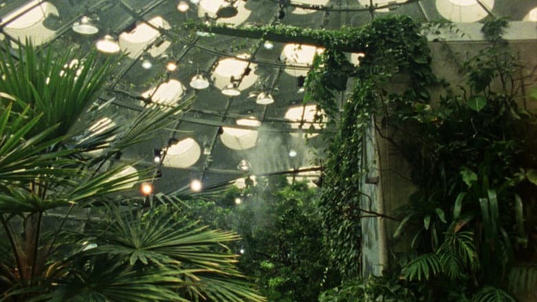 Tropical Fractals